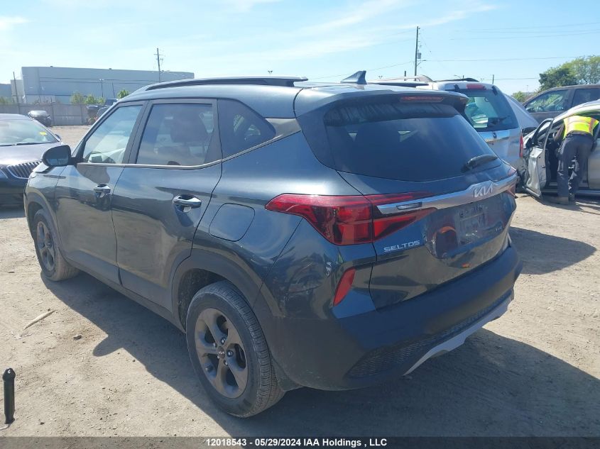 2023 Kia Seltos VIN: KNDEP2AA2P7379931 Lot: 12018543