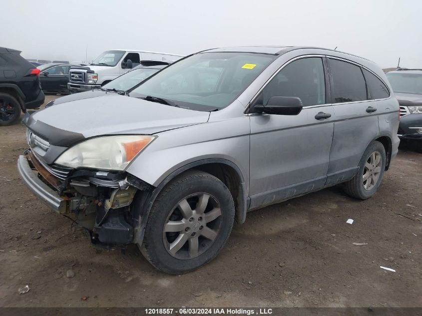 2008 Honda Cr-V Ex VIN: 5J6RE485X8L803936 Lot: 12018557