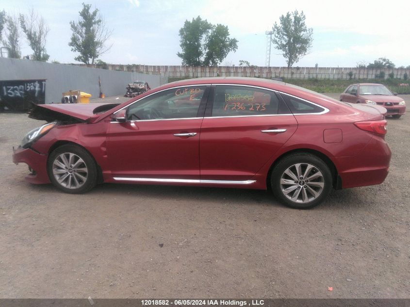 2015 Hyundai Sonata Sport/Limited VIN: 5NPE34AF3FH236273 Lot: 12018582