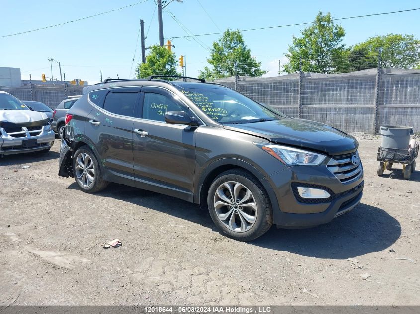 2014 Hyundai Santa Fe Sport 2.0T Limited VIN: 5XYZUDLA9EG196772 Lot: 12018644