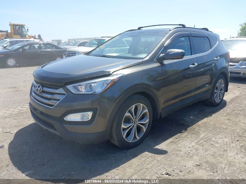 2014 Hyundai Santa Fe Sport 2.0T Limited VIN: 5XYZUDLA9EG196772 Lot: 12018644