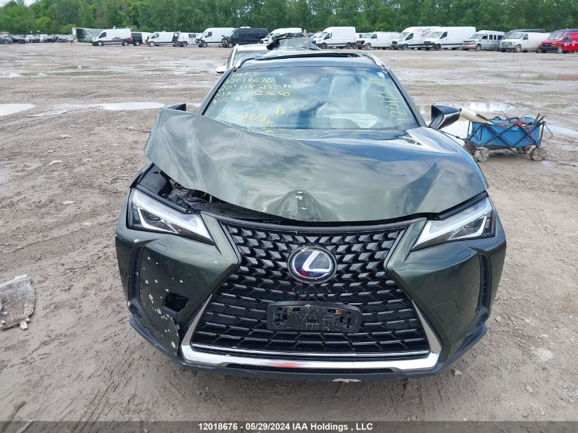 2020 Lexus Ux 250H VIN: JTHP9JBH1L2027650 Lot: 12018676