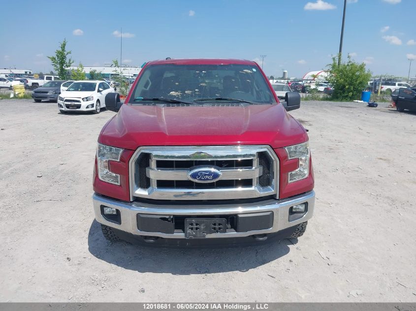 2016 Ford F-150 Xlt VIN: 1FTEX1EP1GFC08358 Lot: 12018681