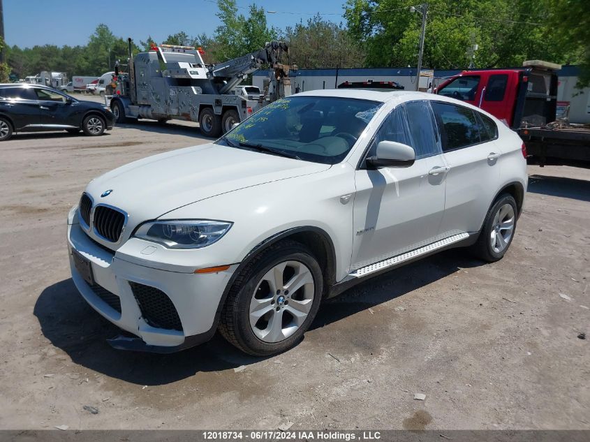 2013 BMW X6 VIN: 5UXFG2C54DL782895 Lot: 12018734