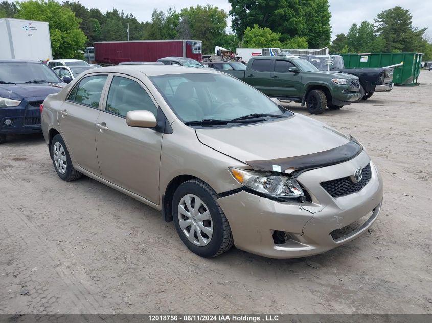 2010 Toyota Corolla Le VIN: 2T1BU4EE9AC194172 Lot: 12018756