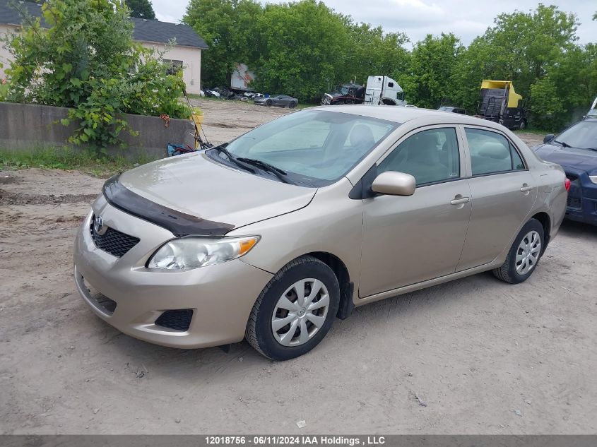 2010 Toyota Corolla Le VIN: 2T1BU4EE9AC194172 Lot: 12018756