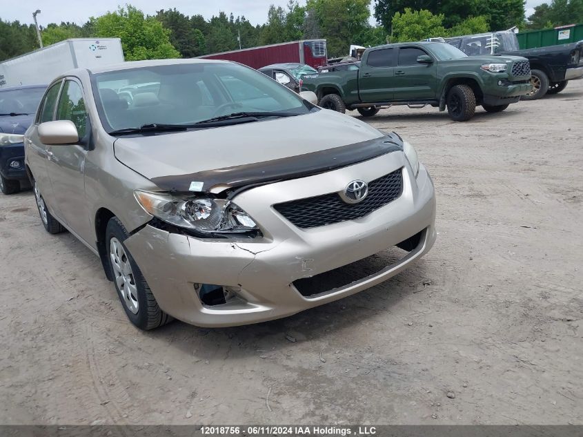 2010 Toyota Corolla Le VIN: 2T1BU4EE9AC194172 Lot: 12018756