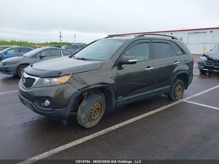 2011 Kia Sorento VIN: 5XYKUDA21BG081530 Lot: 12018764