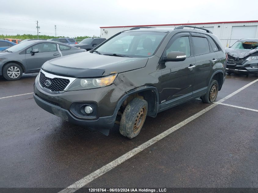 2011 Kia Sorento VIN: 5XYKUDA21BG081530 Lot: 12018764