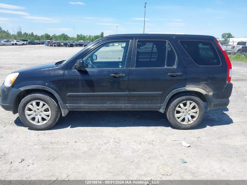 2005 Honda Cr-V Ex VIN: JHLRD78855C805936 Lot: 12018814