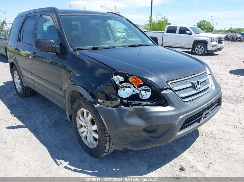 2005 Honda Cr-V Ex VIN: JHLRD78855C805936 Lot: 12018814