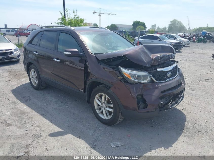 2015 Kia Sorento VIN: 5XYKTCA60FG629801 Lot: 12018828