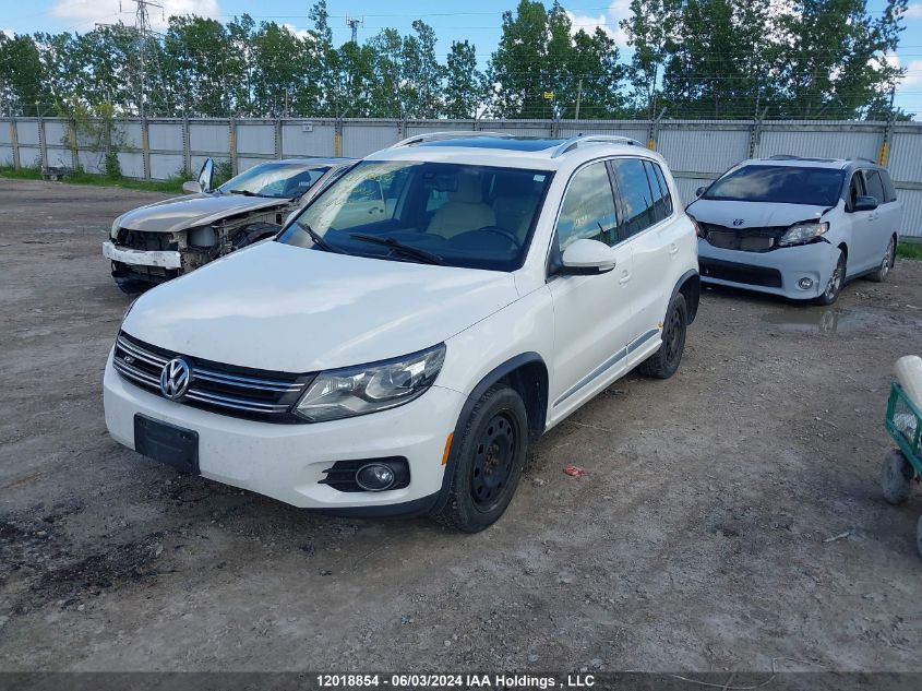 2013 Volkswagen Tiguan VIN: WVGJV3AX4DW100541 Lot: 12018854