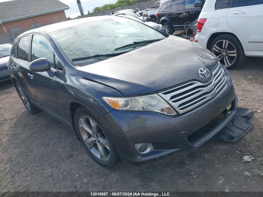 2010 Toyota Venza Base V6 VIN: 4T3BK3BB5AU033768 Lot: 12018857