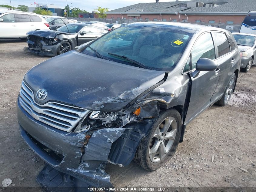 2010 Toyota Venza Base V6 VIN: 4T3BK3BB5AU033768 Lot: 12018857