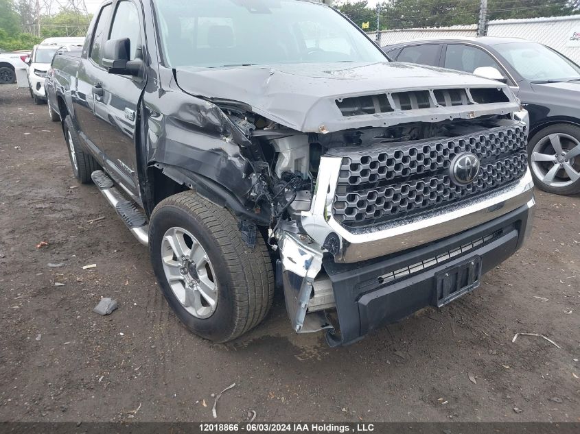 2019 Toyota Tundra Double Cab Sr/Sr5 VIN: 5TFUY5F11KX806611 Lot: 12018866