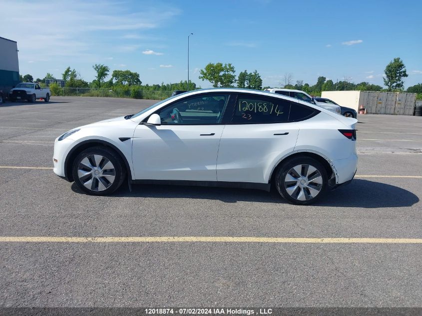 2023 Tesla Model Y VIN: LRWYGDFD7PC902859 Lot: 12018874