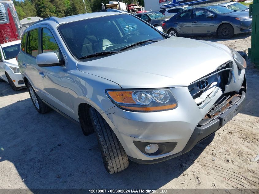 2010 Hyundai Santa Fe VIN: 5NMSHDAG8AH334637 Lot: 12018907