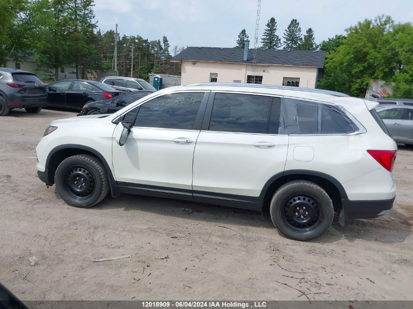 2017 Honda Pilot VIN: 5FNYF6H30HB509196 Lot: 12018909