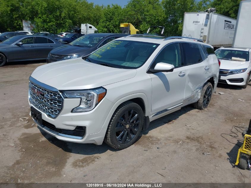 2023 GMC Terrain Denali VIN: 3GKALXEG9PL202962 Lot: 12018915