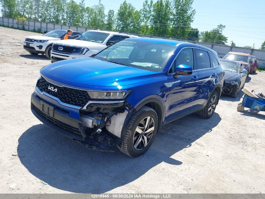 2023 Kia Sorento Lx VIN: 5XYRGDLC8PG225321 Lot: 12018945