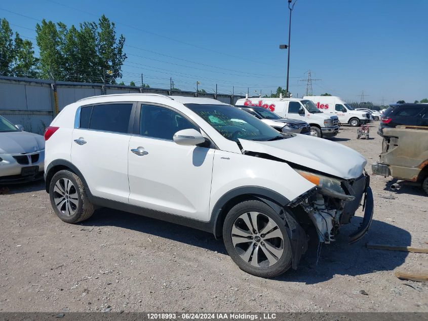 2013 Kia Sportage Ex VIN: KNDPCCA26D7365772 Lot: 12018993