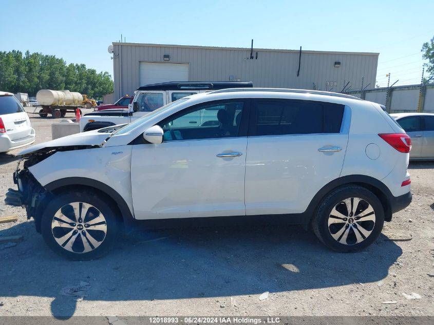 2013 Kia Sportage Ex VIN: KNDPCCA26D7365772 Lot: 12018993