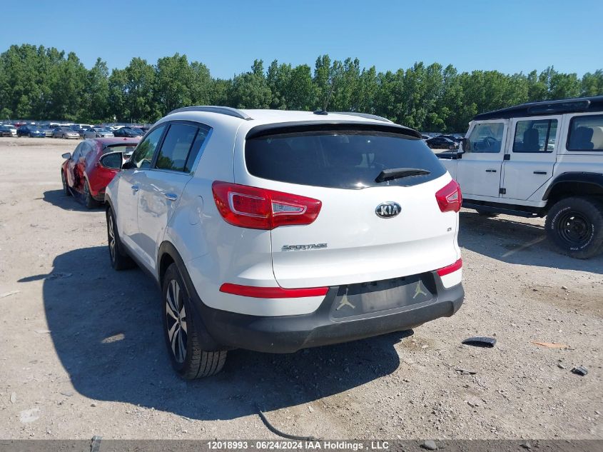 2013 Kia Sportage Ex VIN: KNDPCCA26D7365772 Lot: 12018993