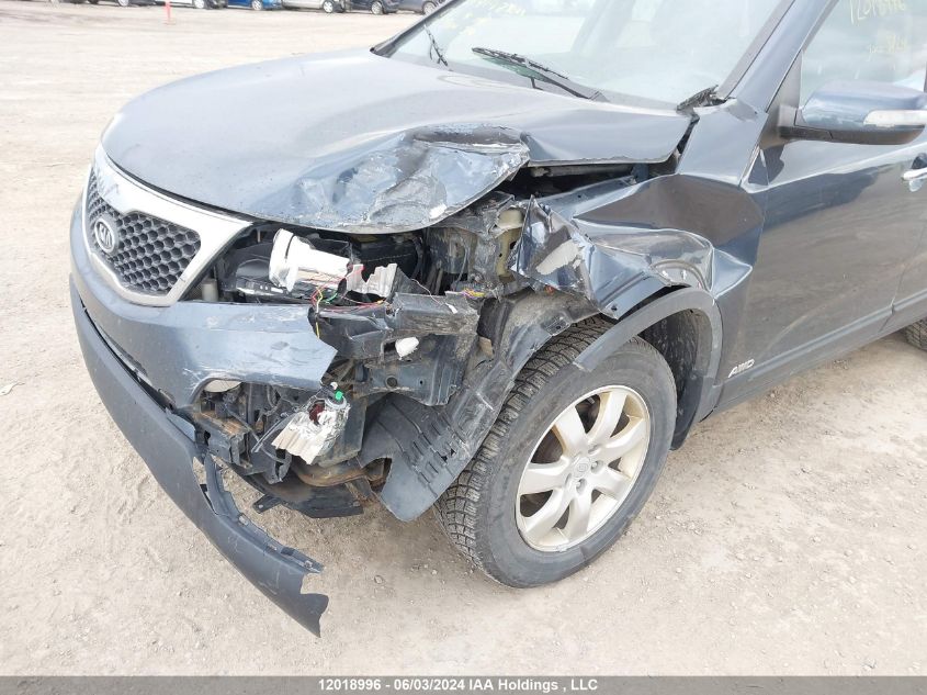 2012 Kia Sorento VIN: 5XYKTDA29CG201904 Lot: 12018996
