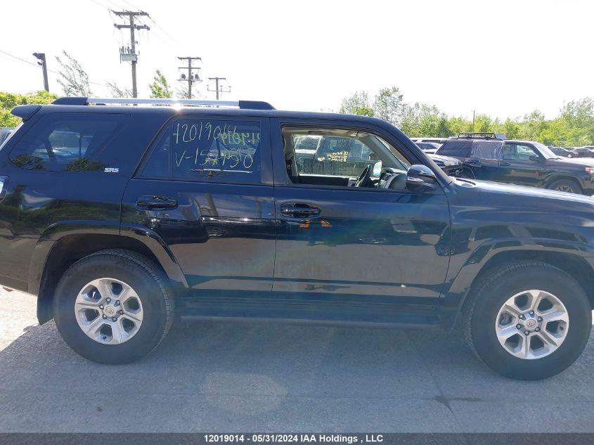 2023 Toyota 4Runner Se/Sr5/Sr5 Premium/Limited/Trd Sport/Trd Off Road/Trd Off Road Prem/Trd Pro VIN: JTENU5JR1P6157950 Lot: 12019014
