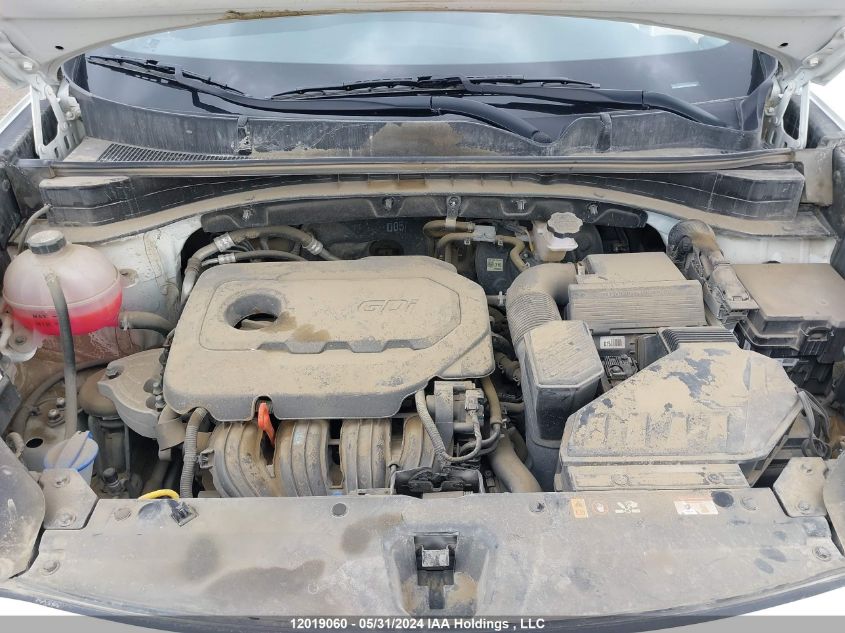 2021 Kia Sportage VIN: KNDPMCAC0M7928840 Lot: 12019060