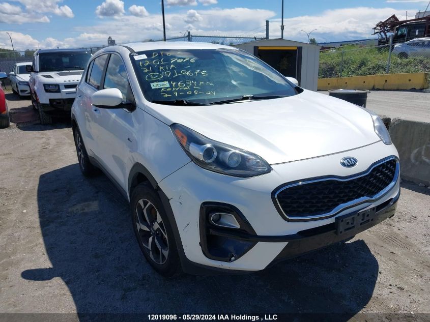 2021 Kia Sportage VIN: KNDPMCAC9M7910675 Lot: 12019096