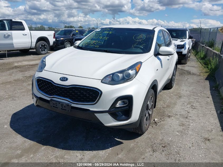 2021 Kia Sportage VIN: KNDPMCAC9M7910675 Lot: 12019096