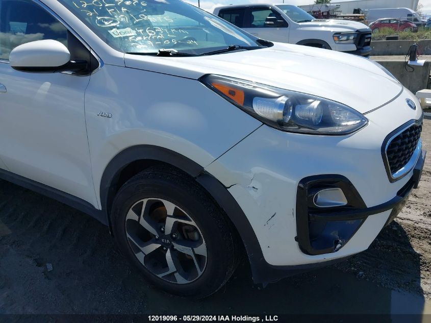 2021 Kia Sportage VIN: KNDPMCAC9M7910675 Lot: 12019096