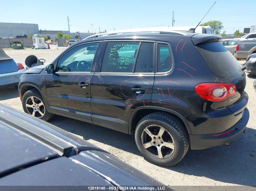 2010 Volkswagen Tiguan Se/Sel VIN: WVGBV7AX2AW504378 Lot: 12019140