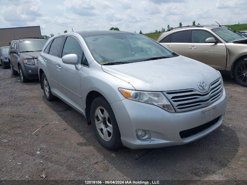 2010 Toyota Venza VIN: 4T3BK3BB0AU033306 Lot: 12019156