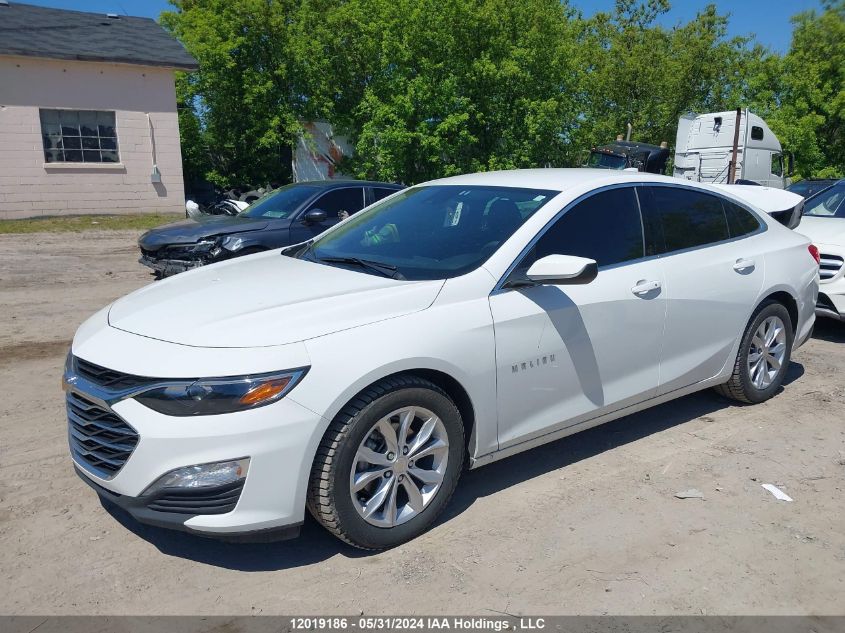 2023 Chevrolet Malibu Lt VIN: 1G1ZD5ST7PF227329 Lot: 12019186