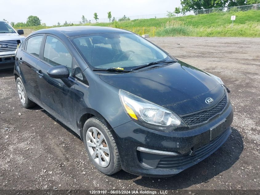 2017 Kia Rio VIN: KNADM4A30H6116049 Lot: 12019197