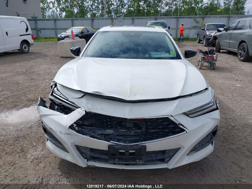 2021 Acura Tlx Platinum Elite VIN: 19UUB6F9XMA800259 Lot: 12019217
