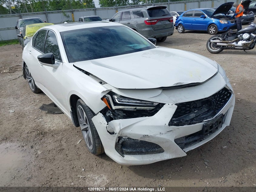 2021 Acura Tlx Platinum Elite VIN: 19UUB6F9XMA800259 Lot: 12019217