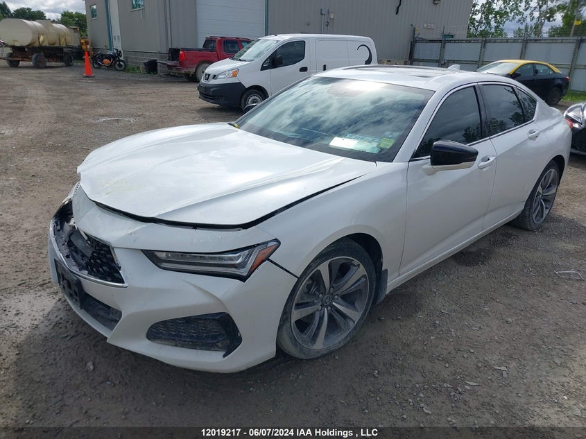 2021 Acura Tlx Platinum Elite VIN: 19UUB6F9XMA800259 Lot: 12019217