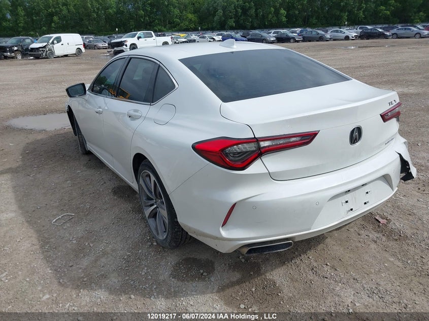 2021 Acura Tlx Platinum Elite VIN: 19UUB6F9XMA800259 Lot: 12019217