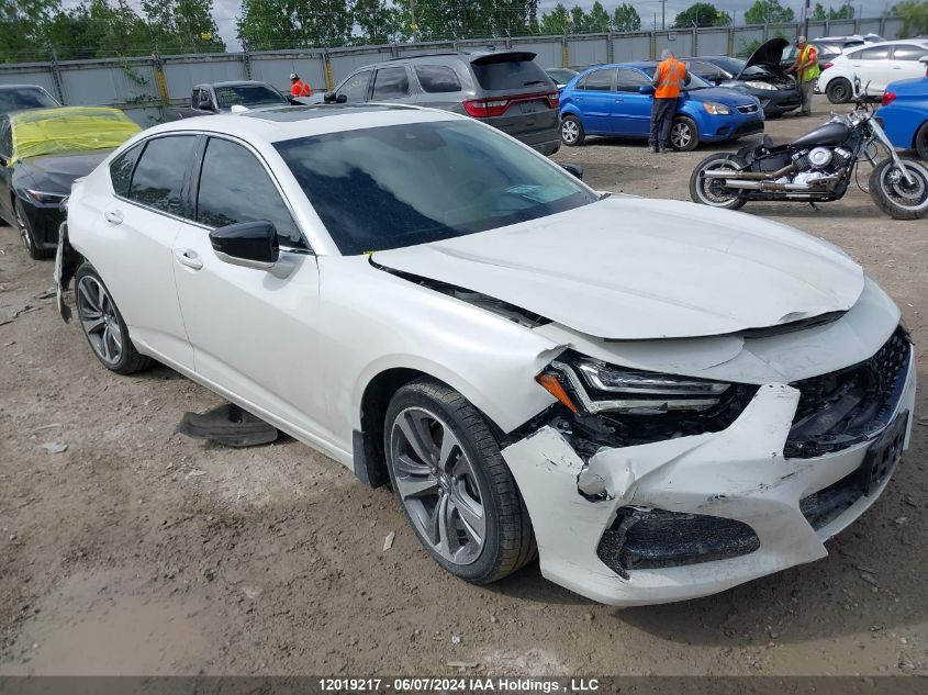 2021 Acura Tlx Platinum Elite VIN: 19UUB6F9XMA800259 Lot: 12019217