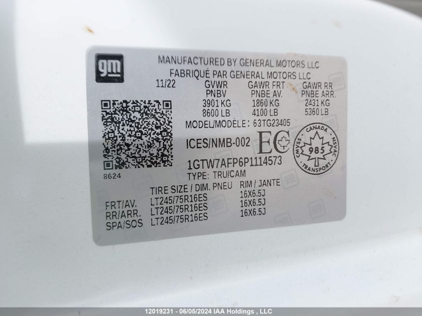 2023 GMC Savana G2500 VIN: 1GTW7AFP6P1114573 Lot: 12019231