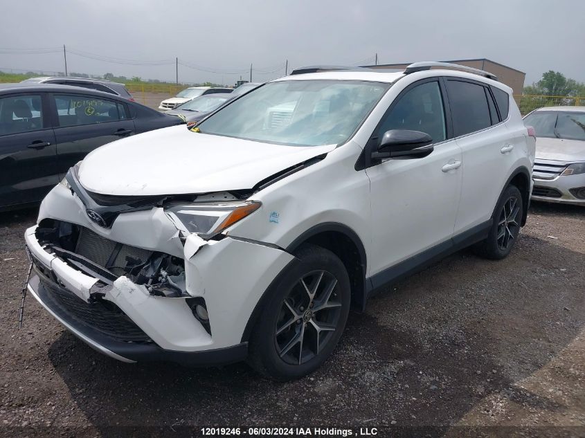 2016 Toyota Rav4 Se VIN: 2T3JFREV4GW505265 Lot: 12019246