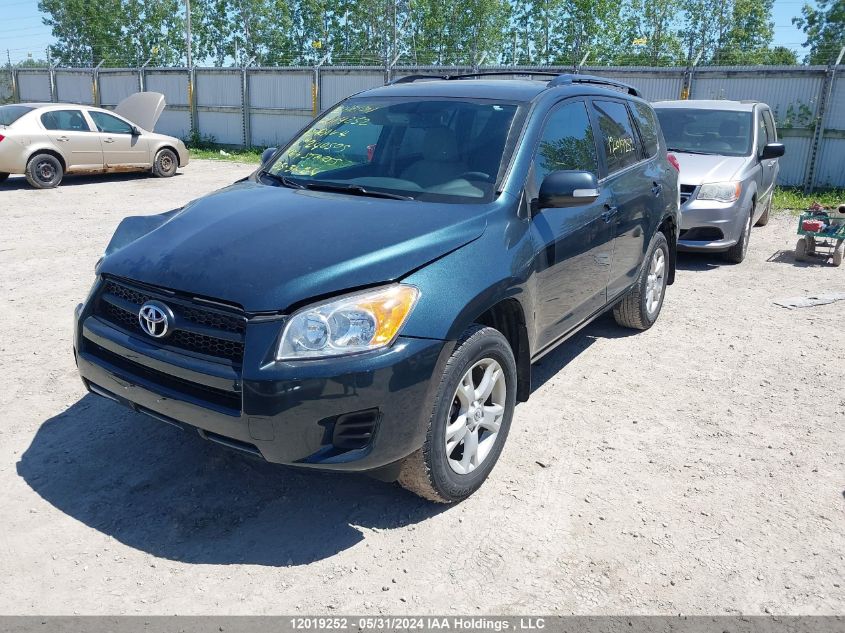 2012 Toyota Rav4 VIN: 2T3BF4DV5CW240505 Lot: 12019252