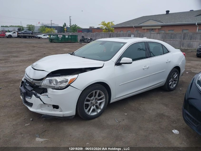 2016 Chevrolet Malibu Limited VIN: 1G11C5SA9GF146637 Lot: 12019259