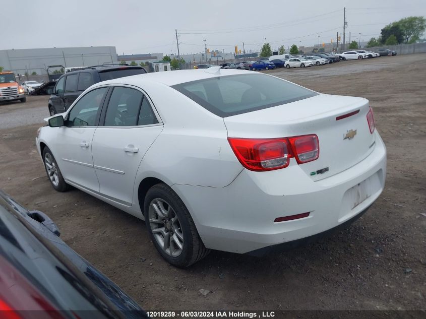 2016 Chevrolet Malibu Limited VIN: 1G11C5SA9GF146637 Lot: 12019259