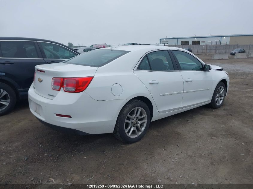 2016 Chevrolet Malibu Limited VIN: 1G11C5SA9GF146637 Lot: 12019259