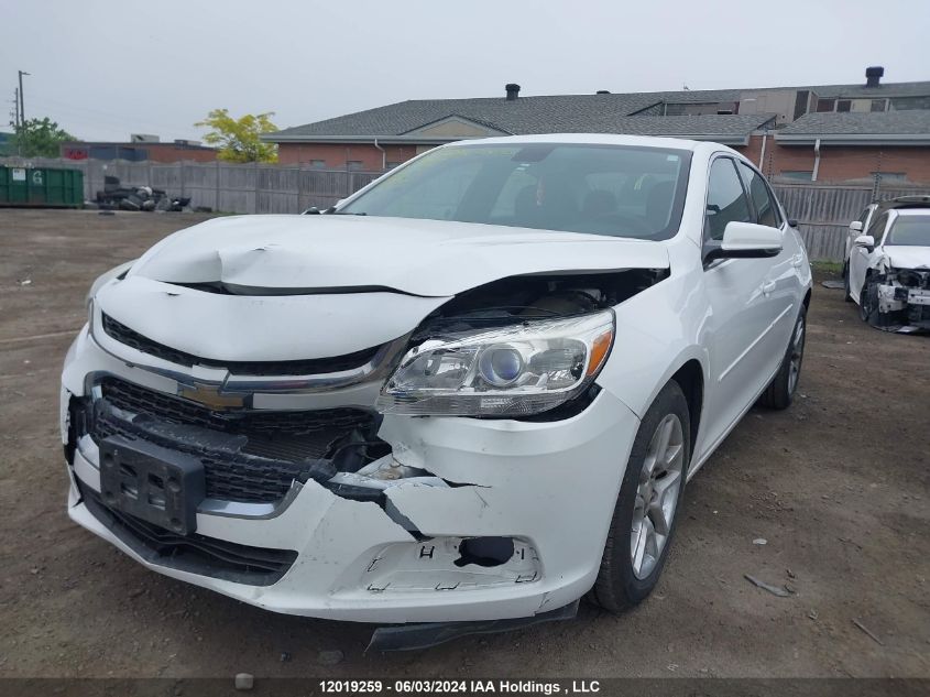 2016 Chevrolet Malibu Limited VIN: 1G11C5SA9GF146637 Lot: 12019259